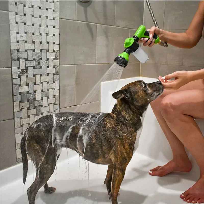 pistola lava cani