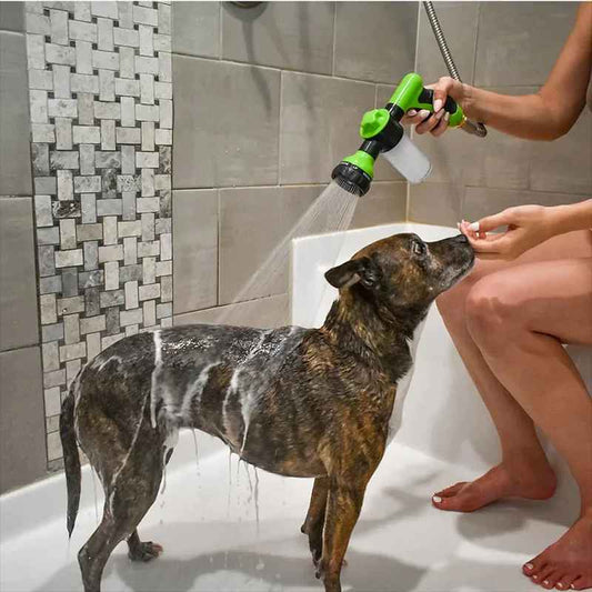 pistola lava cani