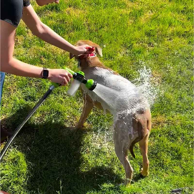 pistola lava cani