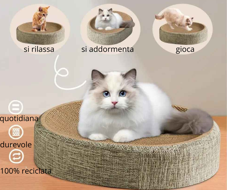 CUCCIA GATTO 2 IN 1